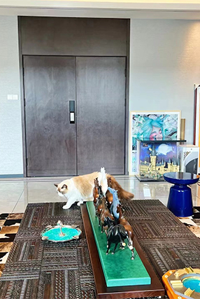 山东回访家长秀