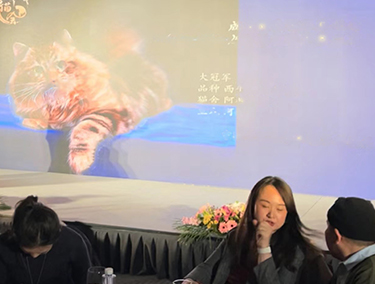 cfa/cca/ice/中猫会/ccle