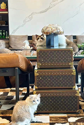 山东回访家长秀