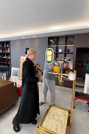 山东回访家长秀