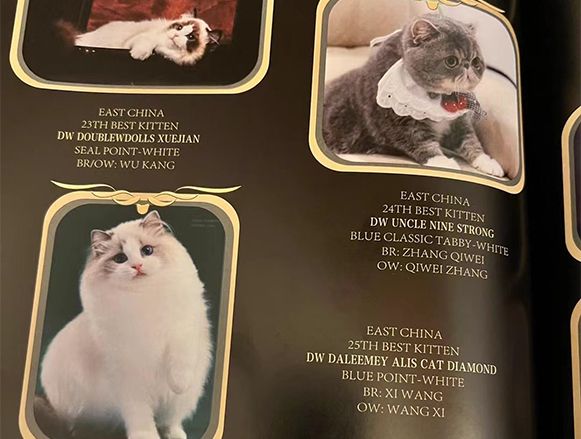 cfa/cca/ice/中猫会/ccle