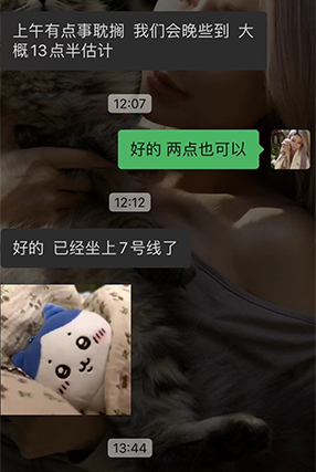 排队家长上门猫舍