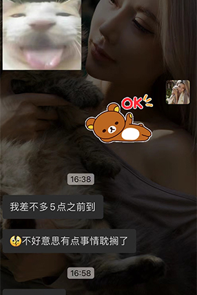 排队家长上门猫舍