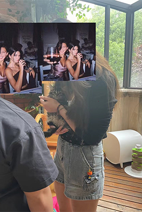 排队家长上门猫舍