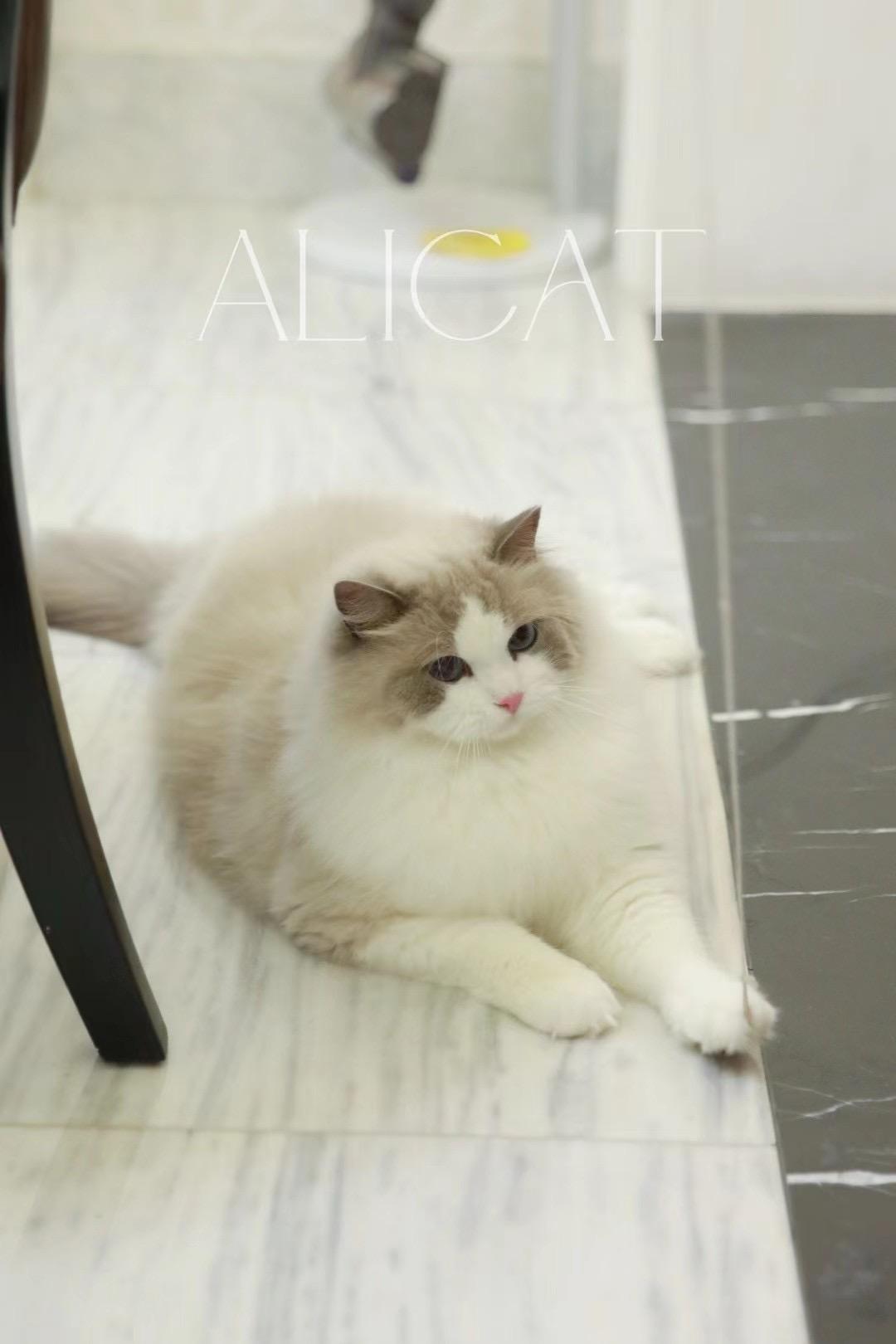 宁波回访家长秀