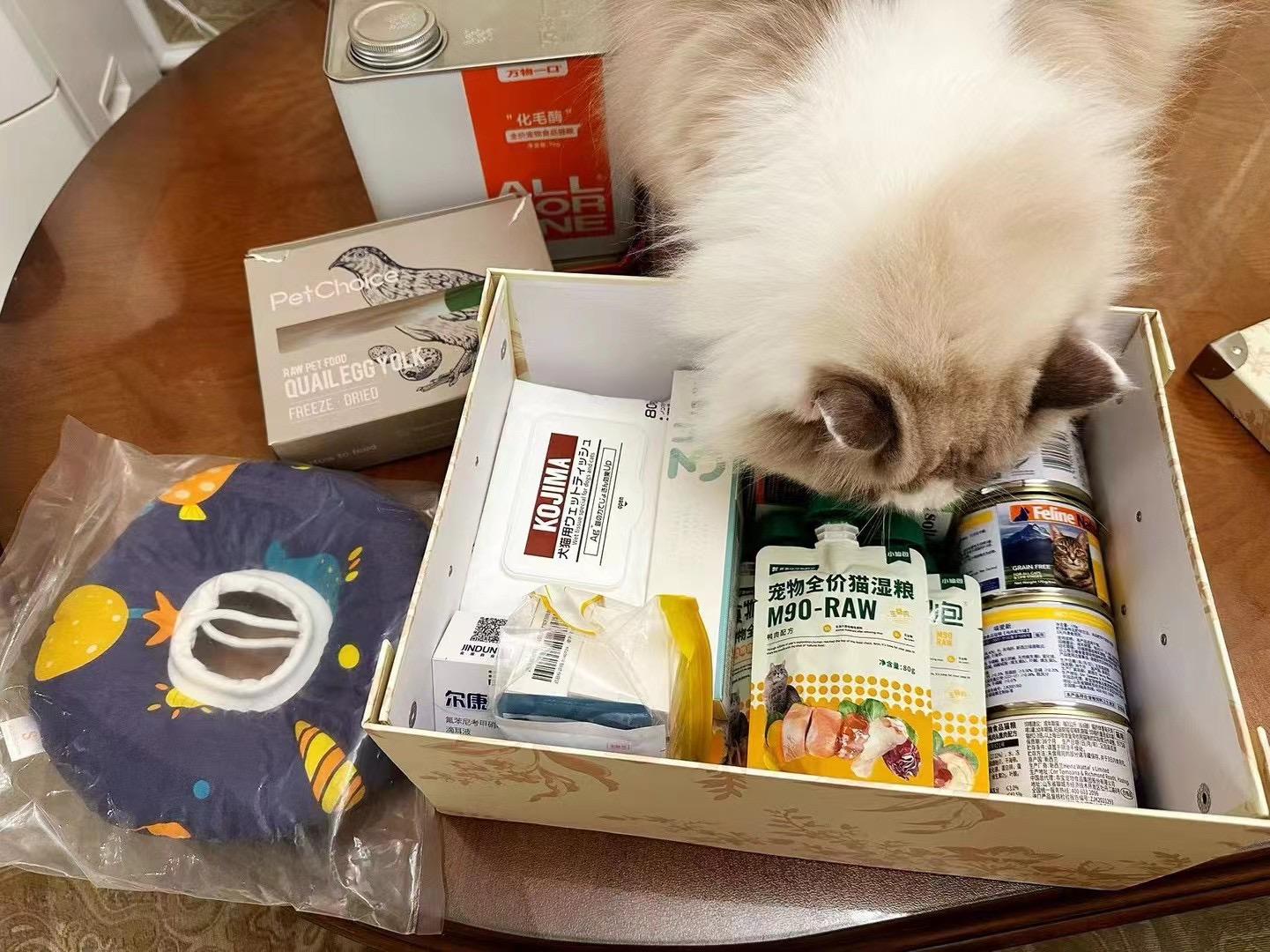 山东回访家长秀