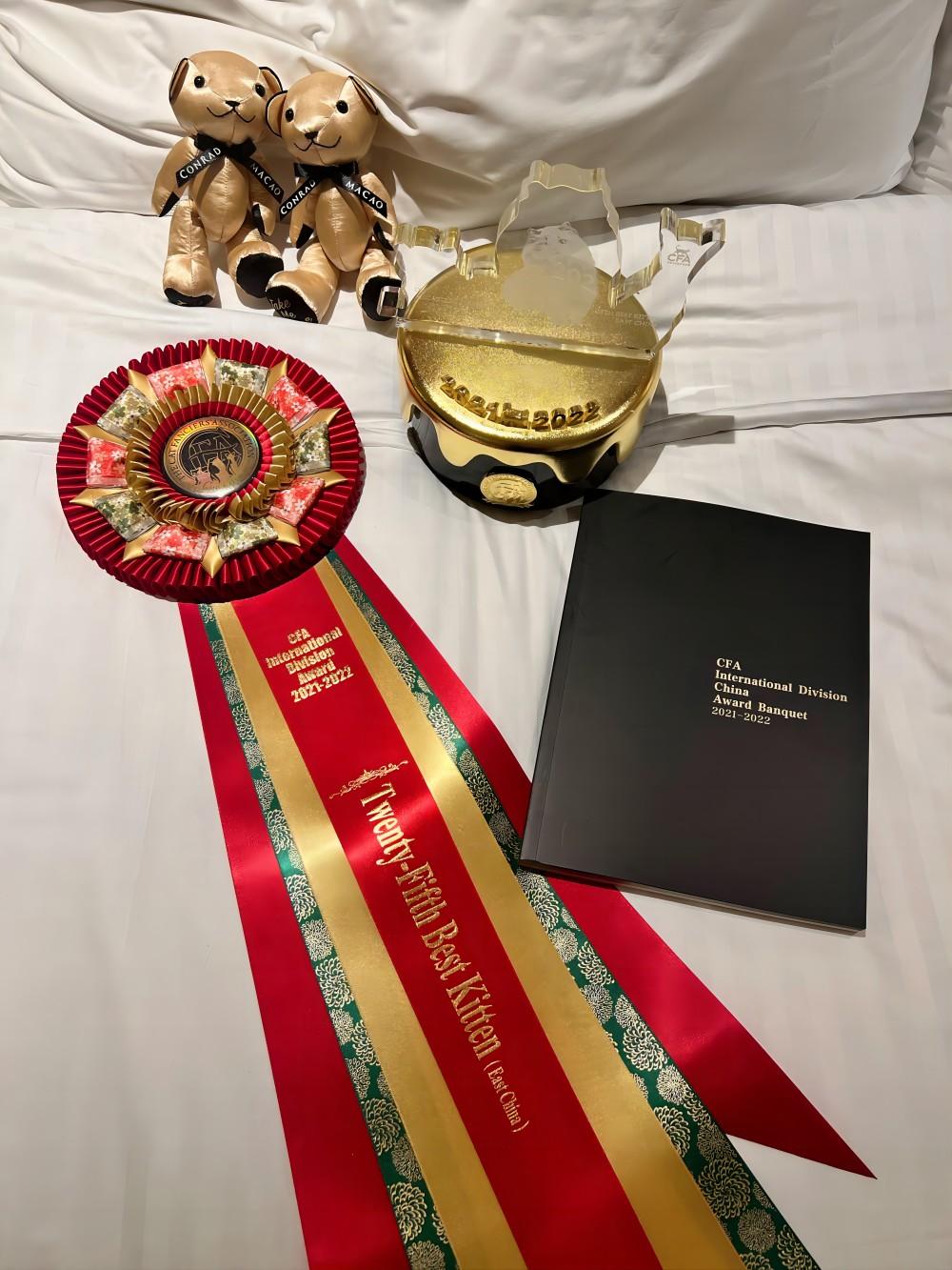 cfa/cca/ice/中猫会/ccle