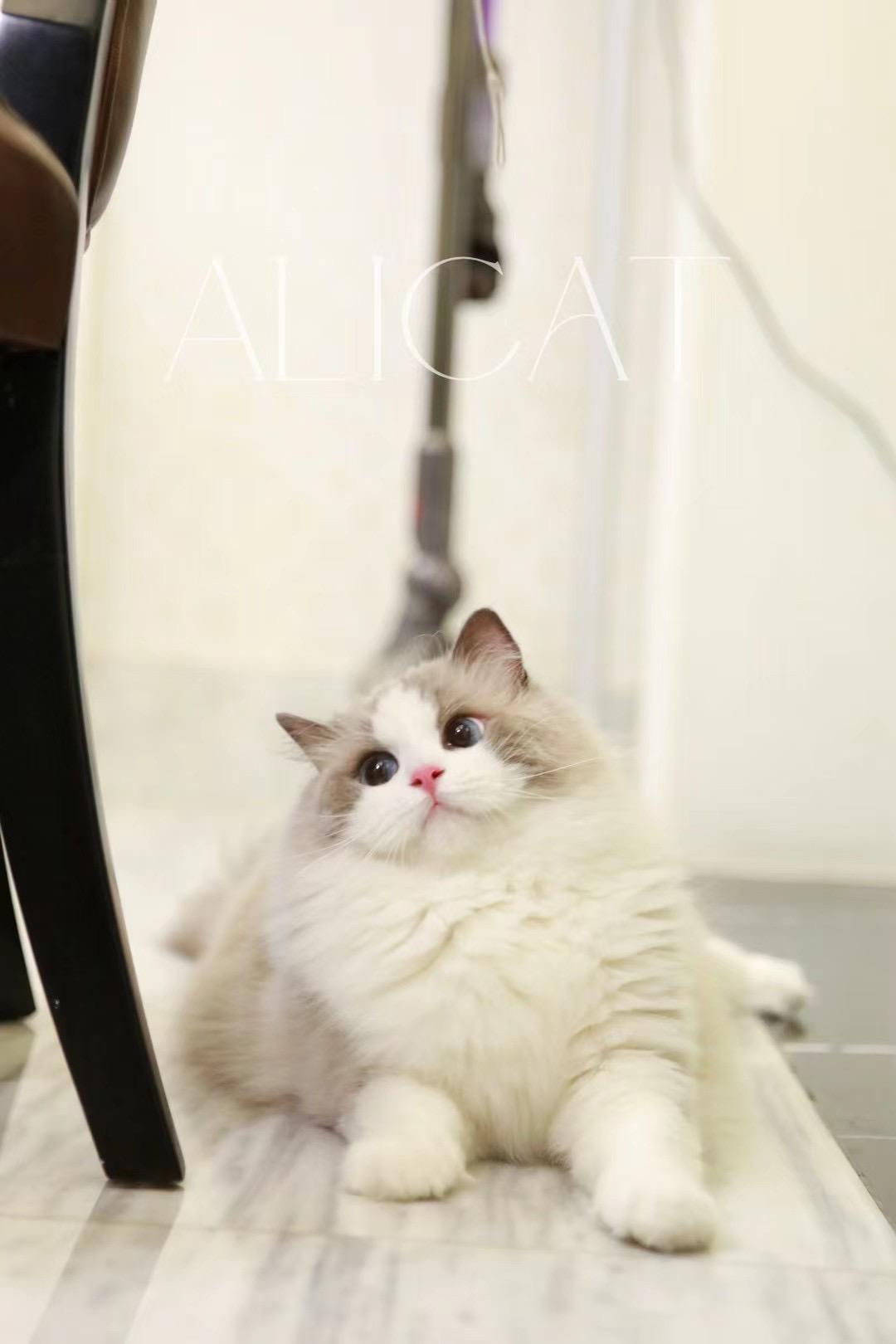 宁波回访家长秀