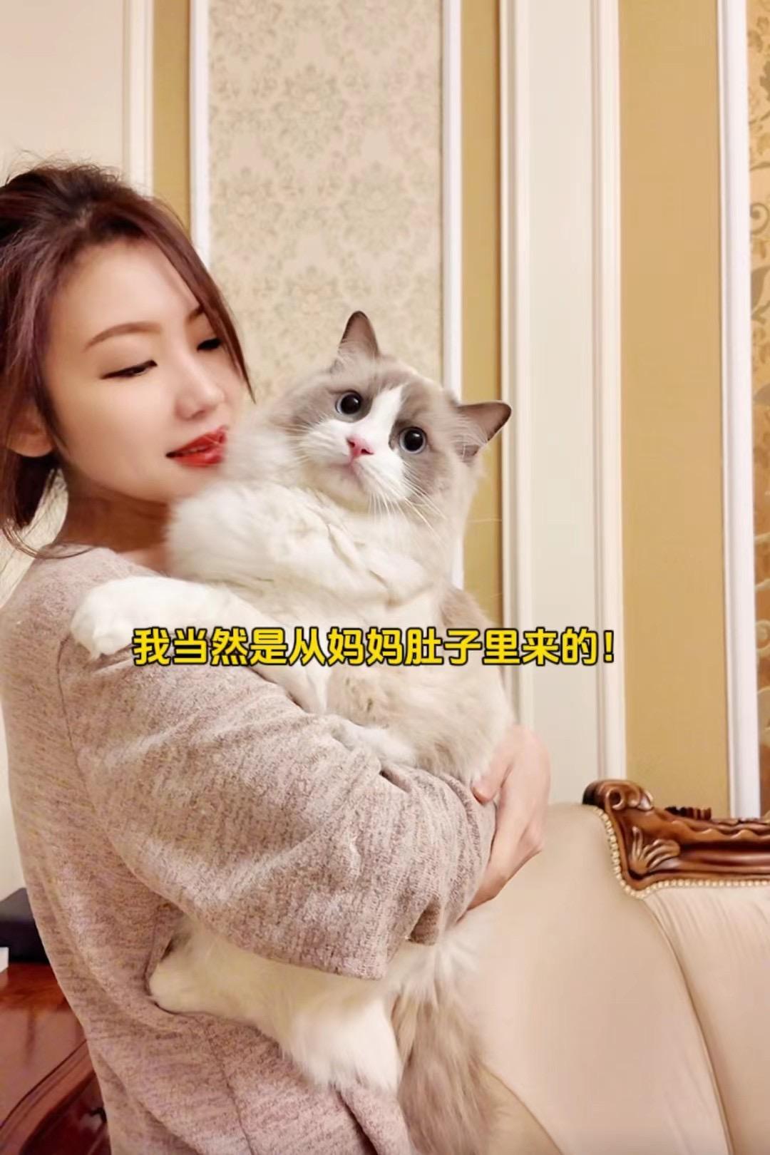 山东回访家长秀