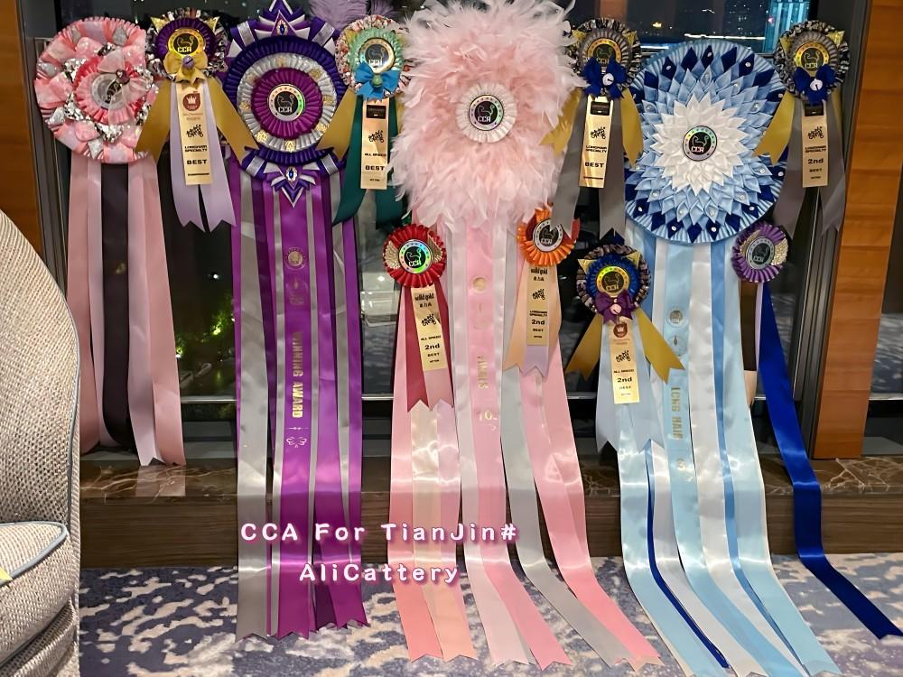 cfa/cca/ice/中猫会/ccle