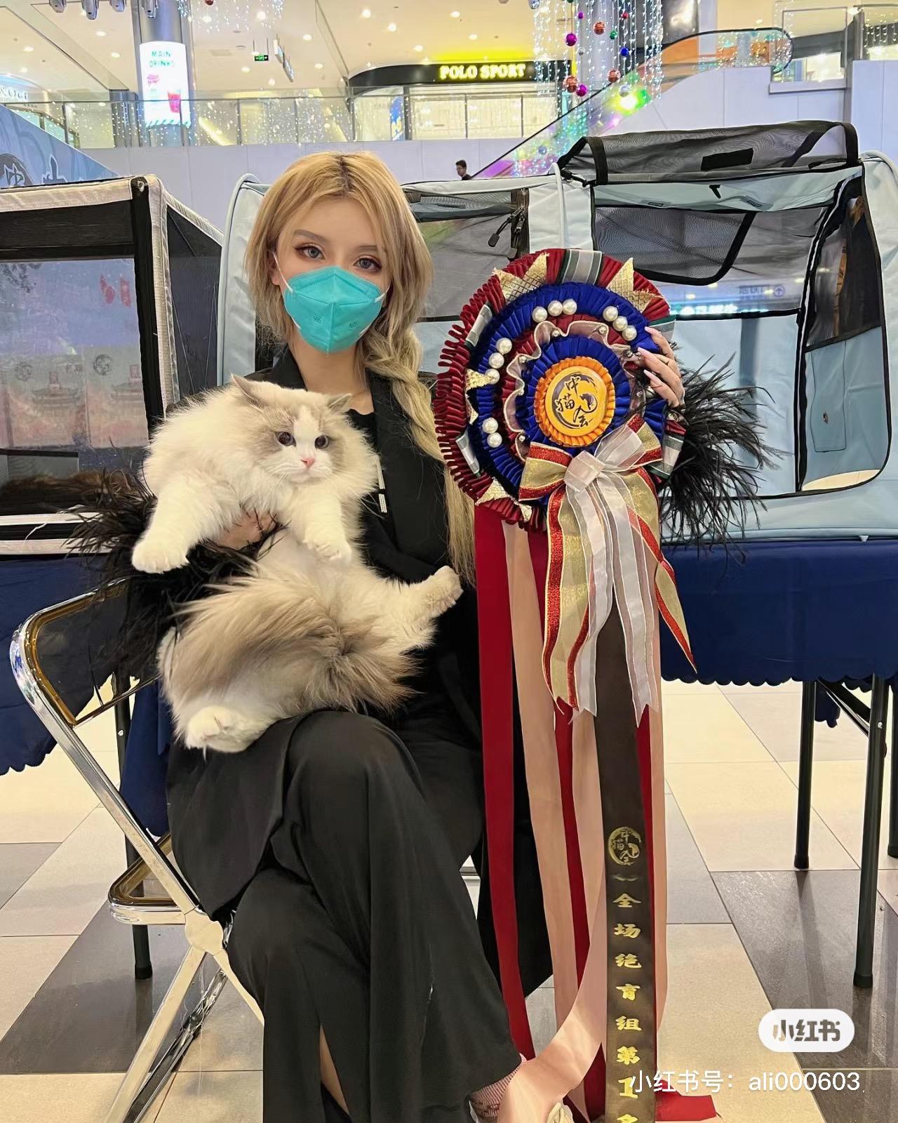 cfa/cca/ice/中猫会/ccle