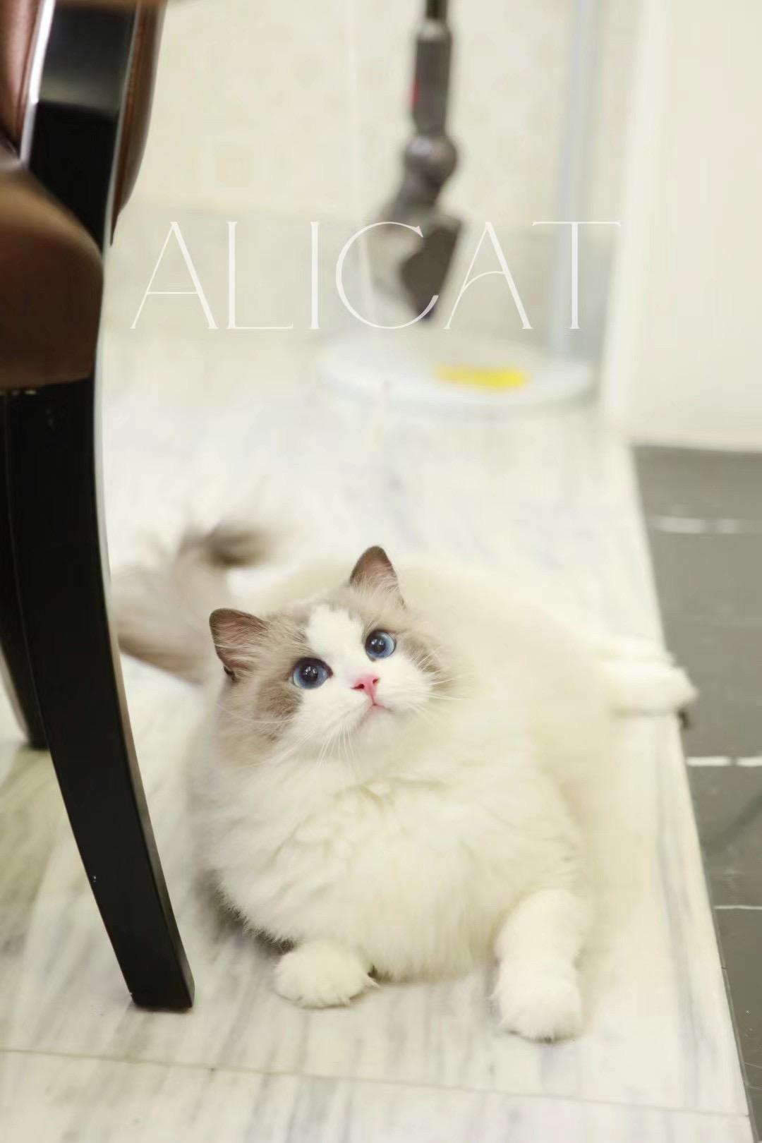 宁波回访家长秀