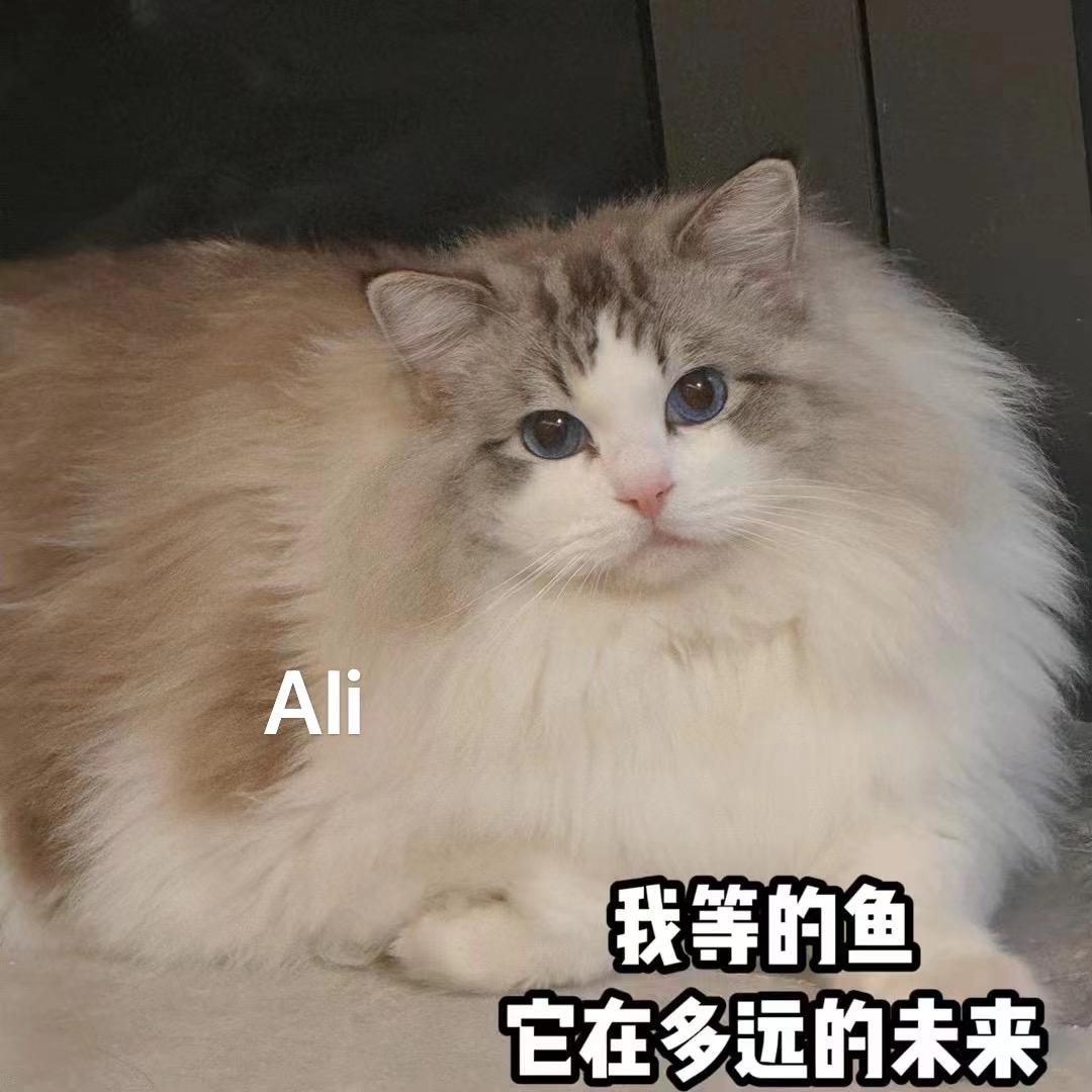 重庆回访家长秀